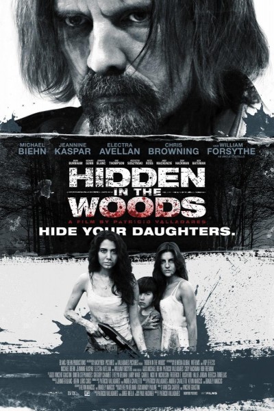 Caratula, cartel, poster o portada de Hidden in the Woods