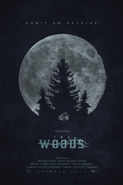Caratula, cartel, poster o portada de The Woods