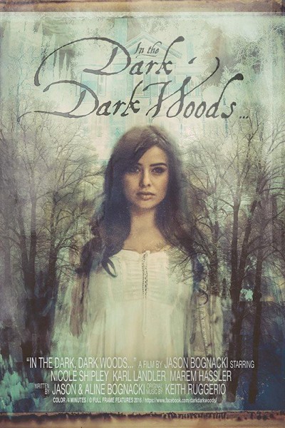 Cubierta de In the Dark Dark Woods...