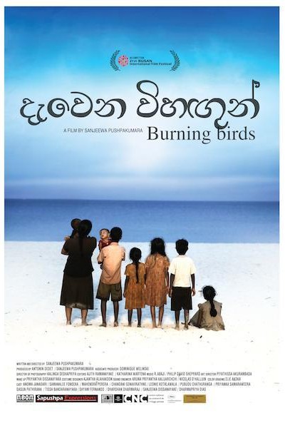 Caratula, cartel, poster o portada de Burning Birds