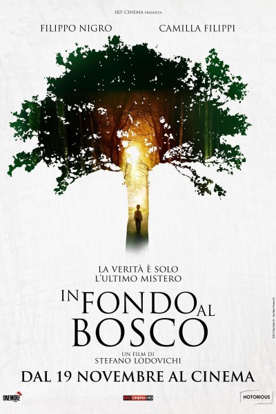 Caratula, cartel, poster o portada de In fondo al bosco