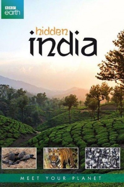 Caratula, cartel, poster o portada de India oculta