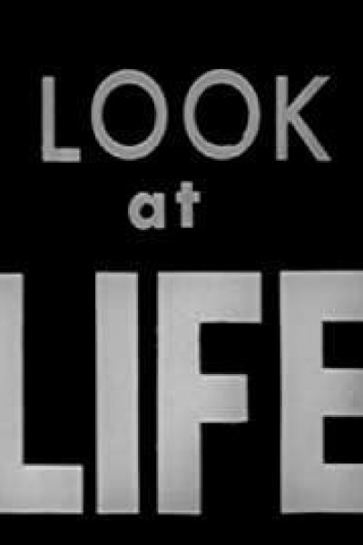 Caratula, cartel, poster o portada de Look at Life