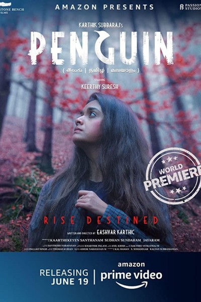 Caratula, cartel, poster o portada de Penguin