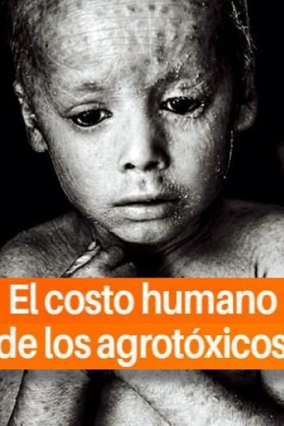 Cubierta de El costo humano de los agrotóxicos