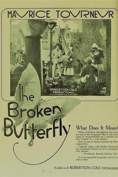 Caratula, cartel, poster o portada de The Broken Butterfly