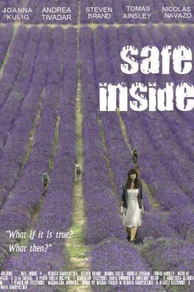 Caratula, cartel, poster o portada de Safe Inside