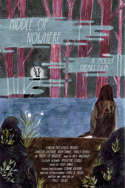 Caratula, cartel, poster o portada de Middle of Nowhere