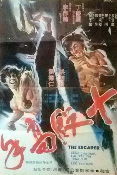 Caratula, cartel, poster o portada de Los magníficos del karate