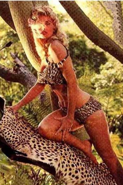 Caratula, cartel, poster o portada de Sheena, la reina de la selva
