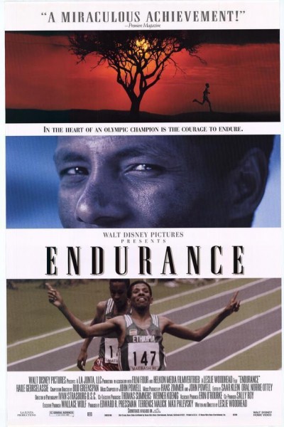 Caratula, cartel, poster o portada de Endurance