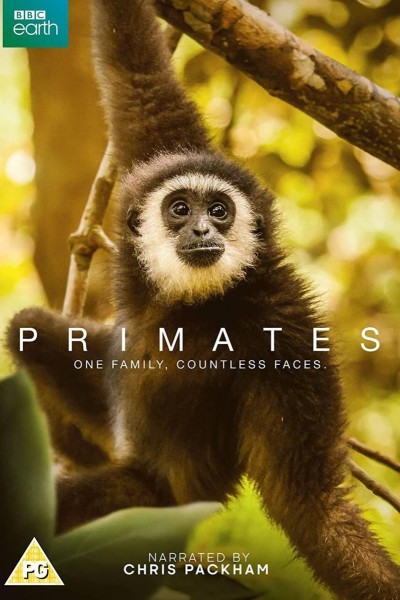 Caratula, cartel, poster o portada de Primates