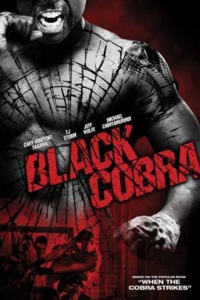 Caratula, cartel, poster o portada de Black Cobra