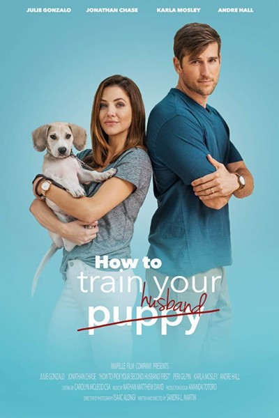 Caratula, cartel, poster o portada de How to Train Your Husband