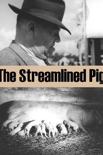 Cubierta de The Streamlined Pig