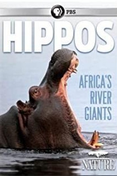 Cubierta de Hipopótamo: el gigante de África