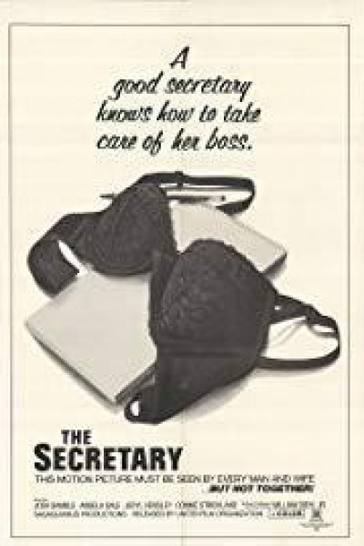 Caratula, cartel, poster o portada de The Secretary