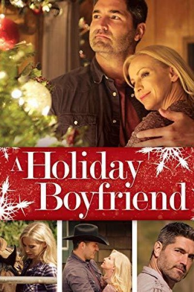 Caratula, cartel, poster o portada de A Holiday Boyfriend