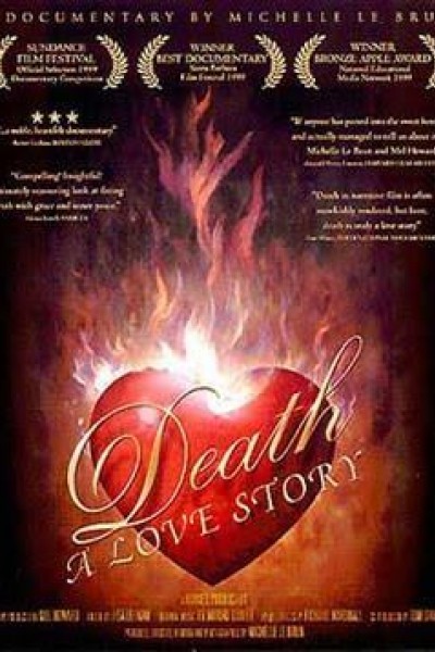 Cubierta de Death: A Love Story