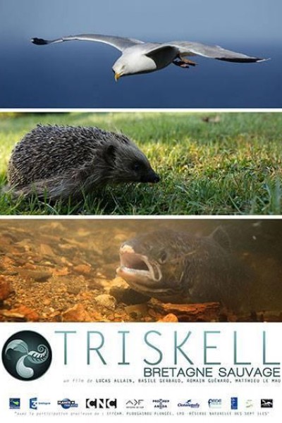 Cubierta de Triskell: Bretaña salvaje