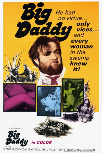 Caratula, cartel, poster o portada de Big Daddy