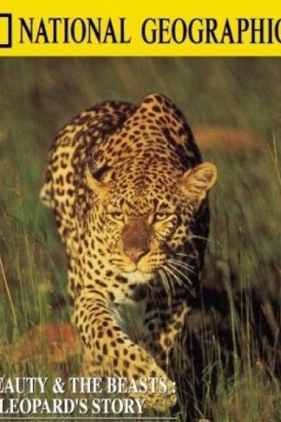 Cubierta de Leopardo: La noche del cazador