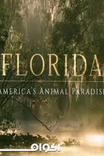 Cubierta de Florida: paraíso animal