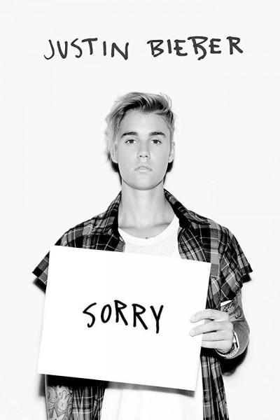 Cubierta de Justin Bieber: Sorry (Purpose: The Movement) (Vídeo musical)