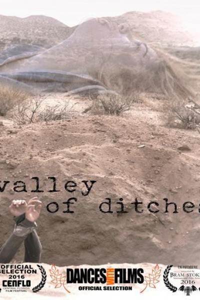 Caratula, cartel, poster o portada de Valley of Ditches