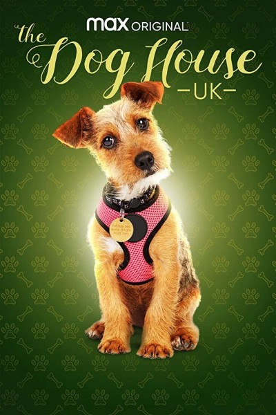 Caratula, cartel, poster o portada de The Dog House