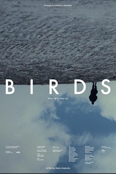 Caratula, cartel, poster o portada de Birds (Or How To Be One)