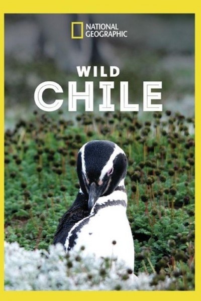 Caratula, cartel, poster o portada de Wild Chile