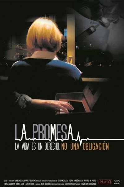 Caratula, cartel, poster o portada de La Promesa