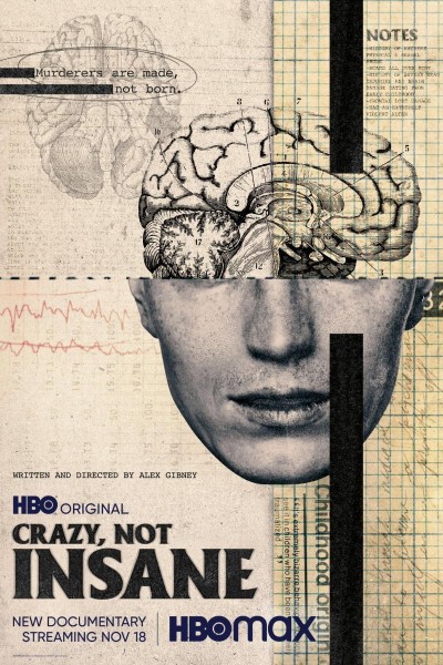 Caratula, cartel, poster o portada de Crazy, Not Insane