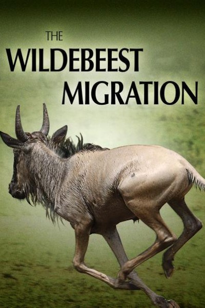 Cubierta de The Wildebeest Migration