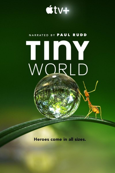 Caratula, cartel, poster o portada de Tiny World