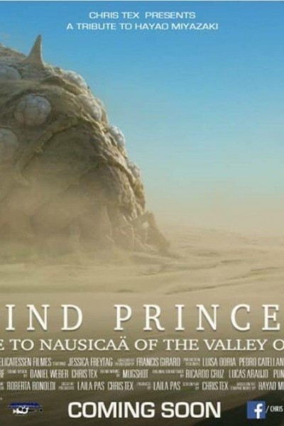 Caratula, cartel, poster o portada de Wind Princess