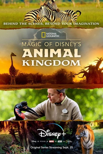 Caratula, cartel, poster o portada de La magia de Animal Kingdom de Disney