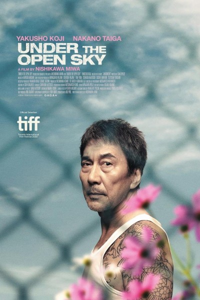 Caratula, cartel, poster o portada de Under the Open Sky
