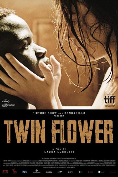 Caratula, cartel, poster o portada de Twin Flower