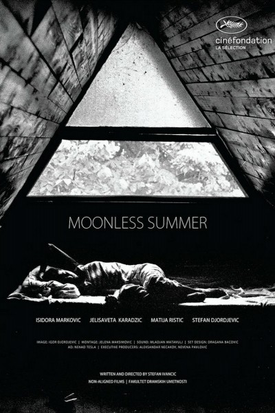 Cubierta de Moonless Summer