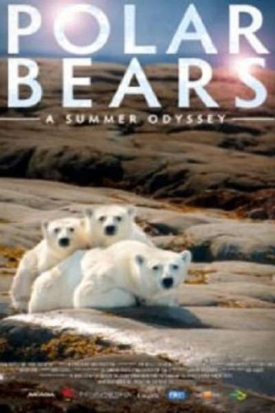 Caratula, cartel, poster o portada de Polar Bears: A Summer Odyssey