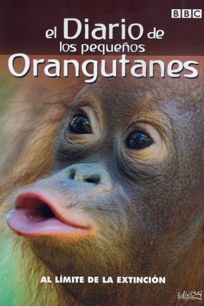 Cubierta de El diario de los pequeños orangutanes