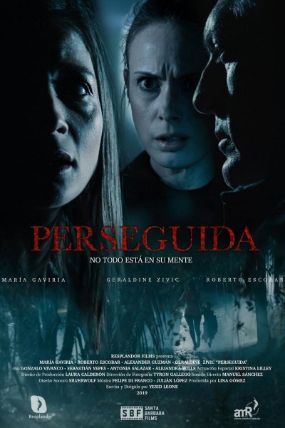 Caratula, cartel, poster o portada de Perseguida