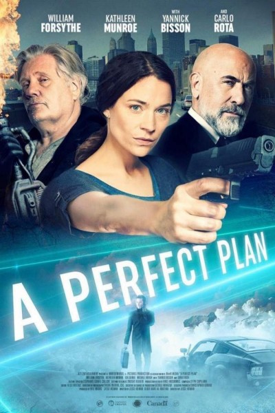 Caratula, cartel, poster o portada de A Perfect Plan