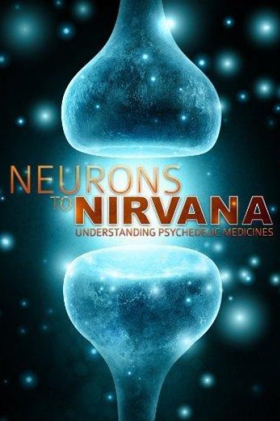 Caratula, cartel, poster o portada de Neurons to Nirvana