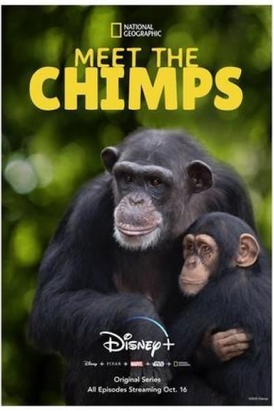 Caratula, cartel, poster o portada de Santuario de chimpancés
