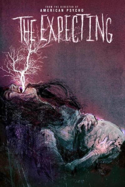 Caratula, cartel, poster o portada de The Expecting