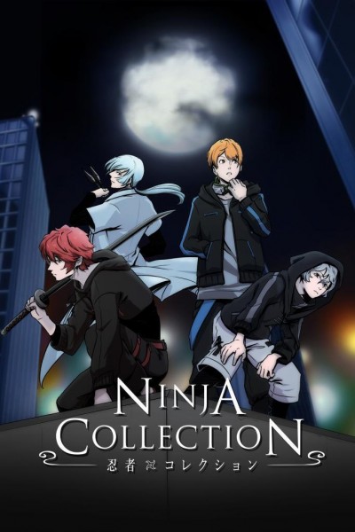 Caratula, cartel, poster o portada de Ninja Collection