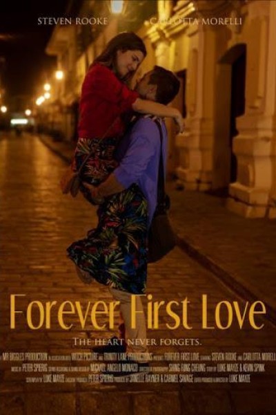 Caratula, cartel, poster o portada de Forever First Love